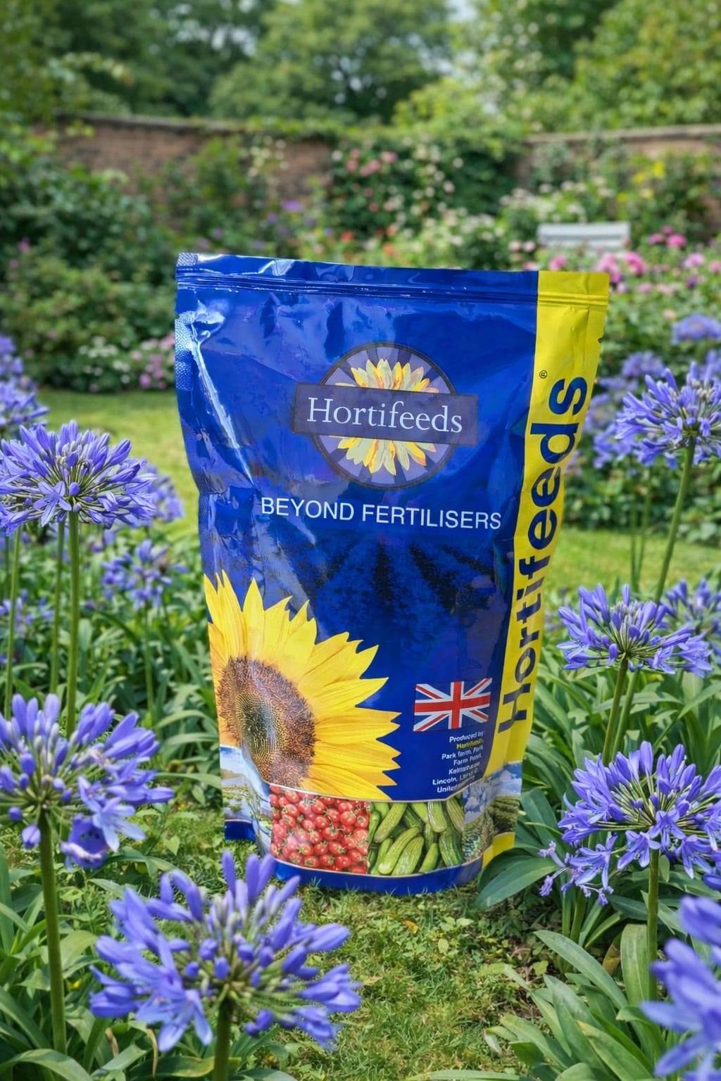 Agapanthus Plant Food